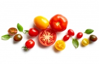 Фитомаг препаратидан фойдаланиб помидорларни сақлаш