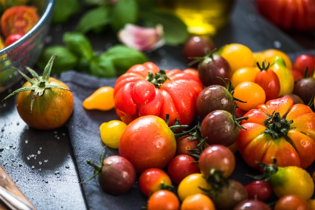 Повышение сохраняемости плодов томата, выращенных в открытом грунте