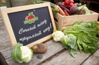 Фитомаг (1-МЦП) препаратининг афзалликлари