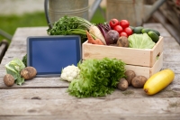 Оптимальные условия хранения фруктов и овощей